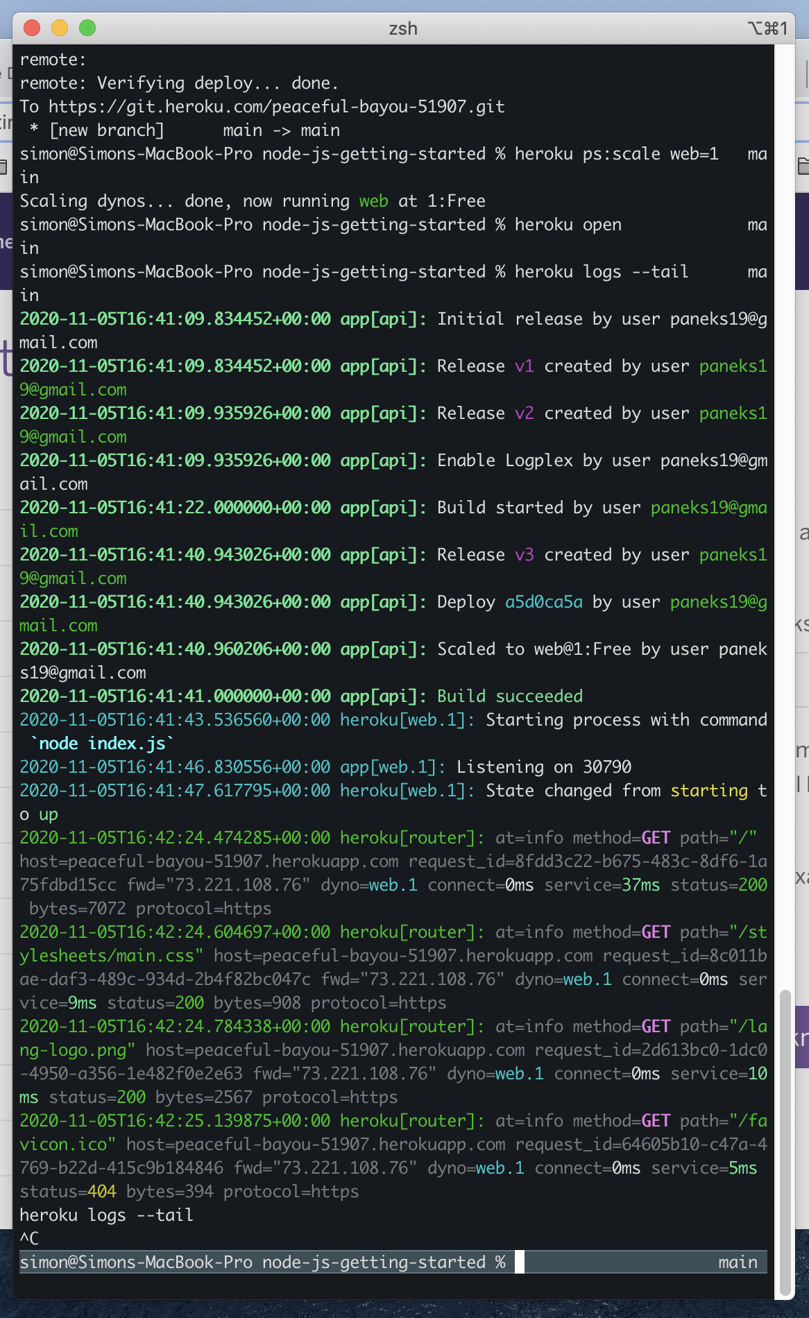 Terminal Screen Shot of View Logs